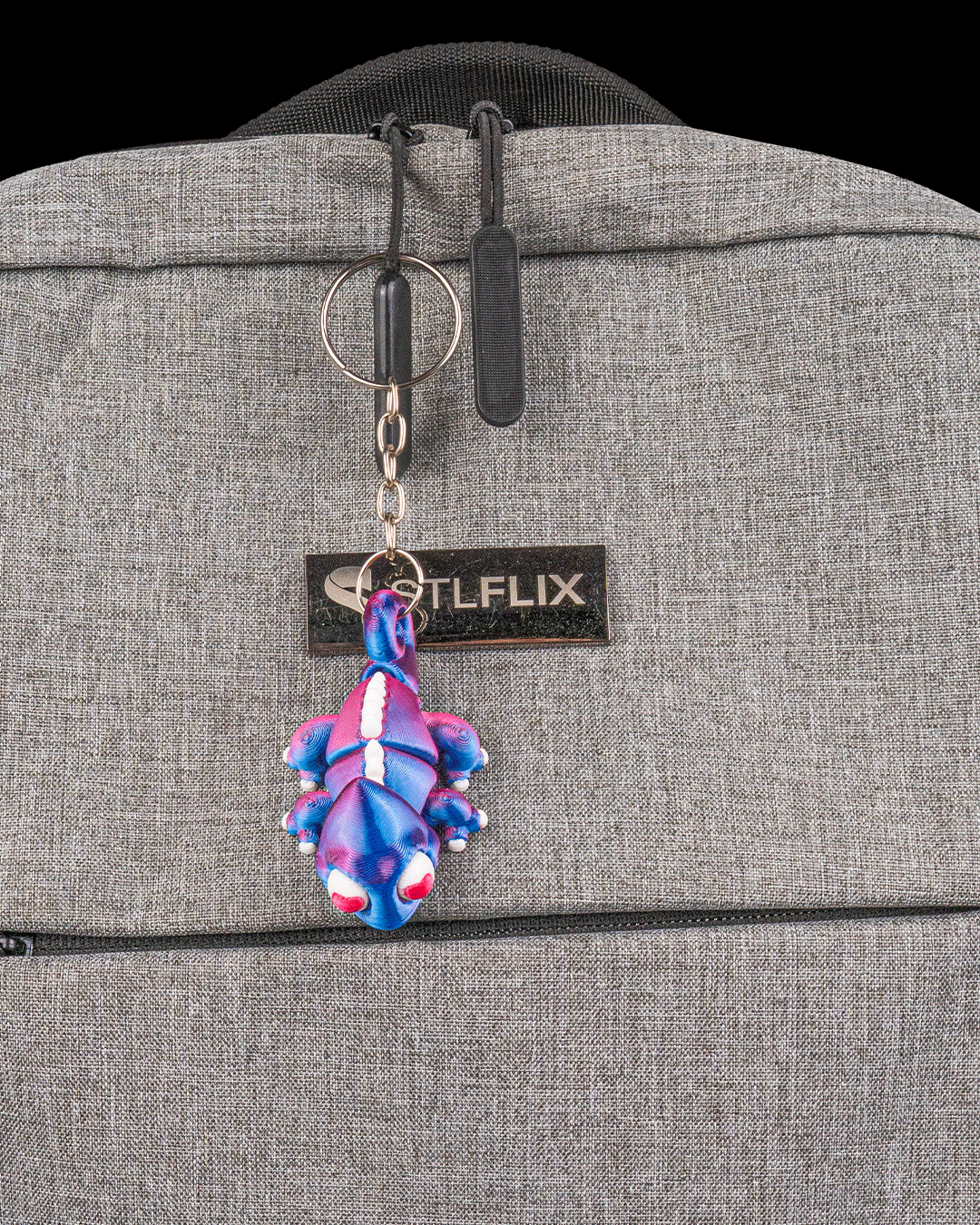 Chamele-ones Keychain Set