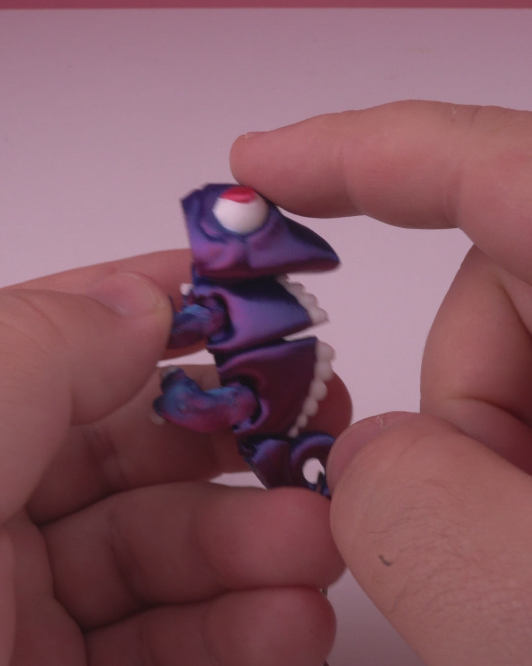 Chamele-ones Keychain Set